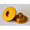 SCREWS BELL HELMET GOLD