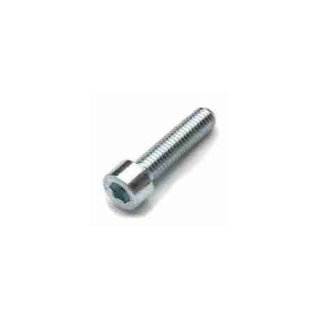 TORNILLO TAPA EMBRAGUE IAME X30