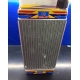 STICKER RADIATOR IAME X30 MEDIUM SIZE FA ALONSO