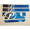 STICKER KIT BIG RADIATOR IAME X30 PRAGA