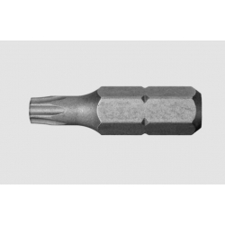 PUNTA TORX T25 PARA 1/4